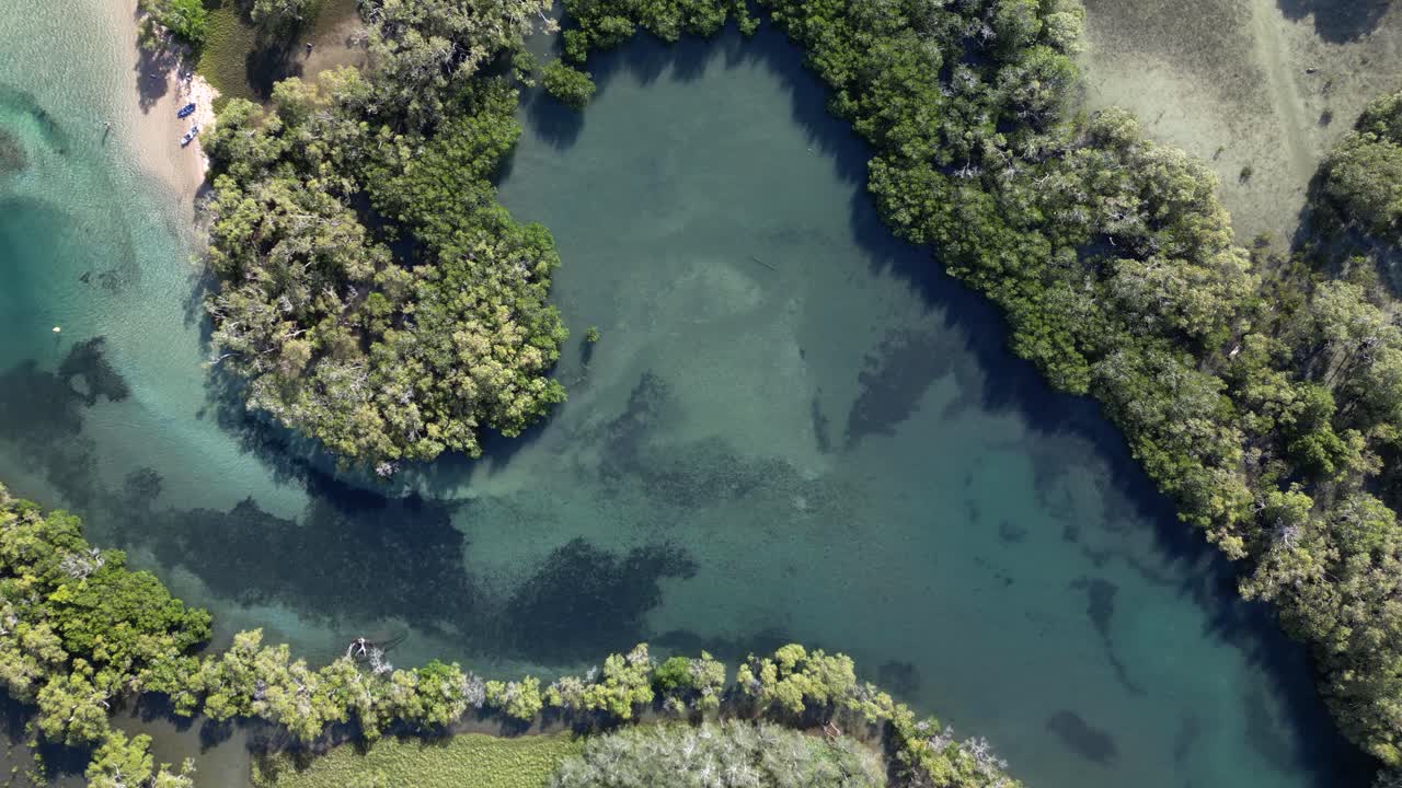 los bosques tropicales litorales, manglares y pantanos salados alrededor de la isla de ukerebagh son una área cultural importante para los aborígenes de australia.