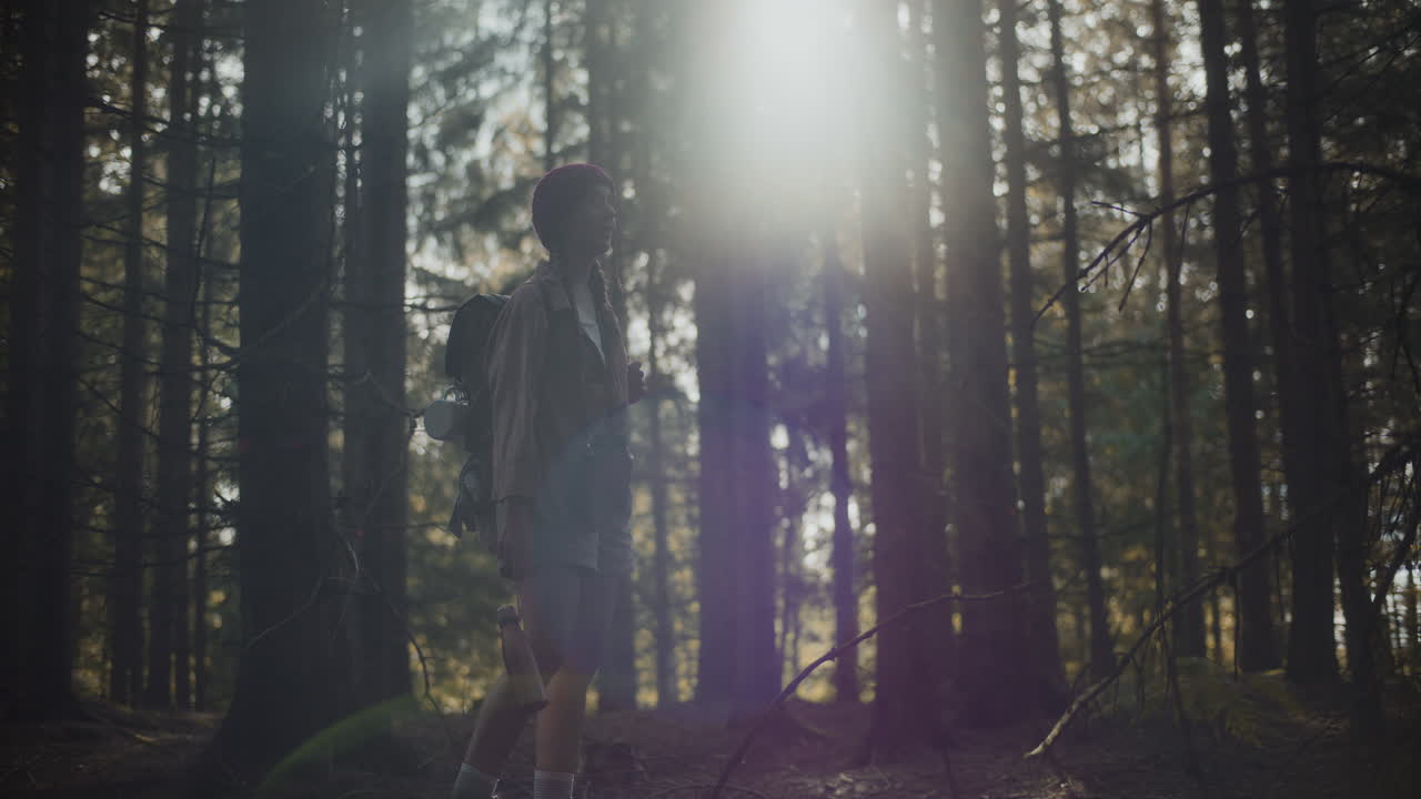 숲 속 의 나무 들 사이 를 돌아다니는 여성 관광객