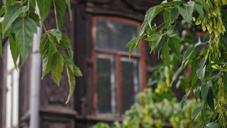 old wooden house with carved facade and summer foliage