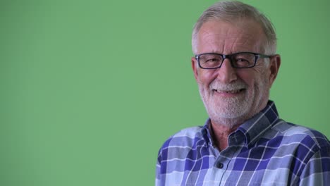 handsome senior bearded hipster man