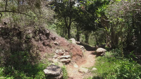 POV-walking-on-narrow-trail-in-tropical-rainforest-in-Central-America