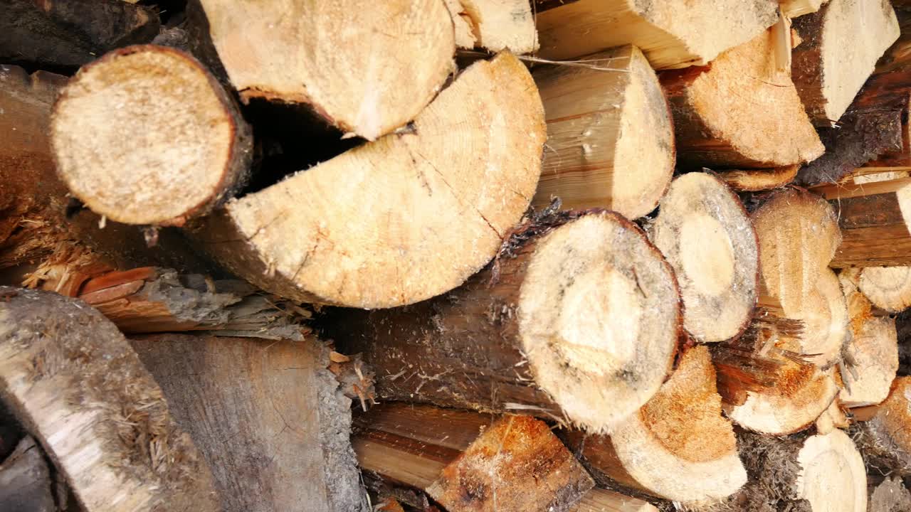 나무 창고에 있는 장작더미 위에 패닝 샷