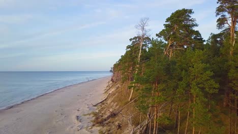 hermosa vista aérea de la costa del mar báltico en una tarde soleada, hora dorada, playa con arena blanca, pinos rotos, erosión costera, cambios climáticos, tiro de drones de gran angular avanzando