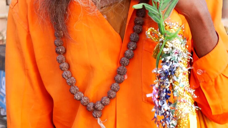 Portrait of a Holy Indian Sadhu