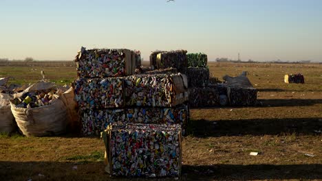 gaviotas de cabeza gris sobrevuelan desechos compactados en una planta de procesamiento de desechos