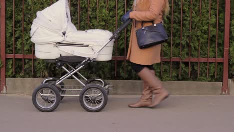 Side-view-of-unrecognizable-young-Caucasian-woman-pushing-baby-stroller-in-park