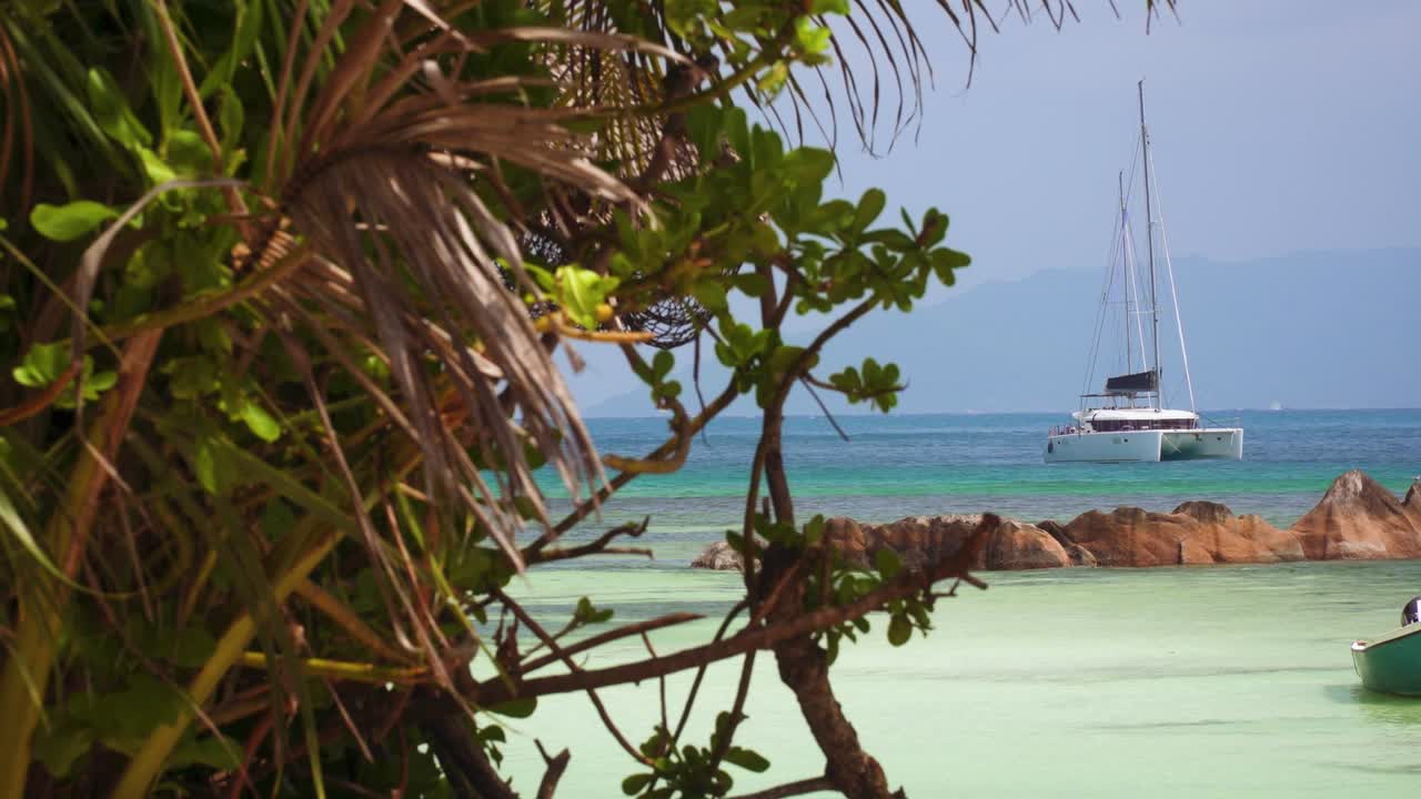 Palm trees, blue turquoise waters, and a catamaran in the Seychelles Islands, Indian Ocean
