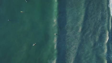 4k aerial top down shot of many surfers in blue water with small waves