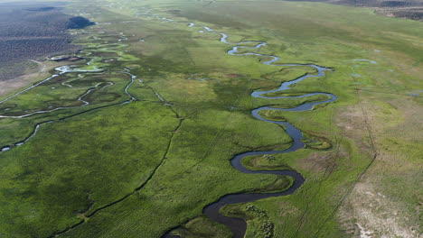 Aerial-view-of-the-winding-Owens-River-as-it-meanders-through-the-lush-green-landscape-of-Benton-Crossing,-highlighting-the-intricate-patterns-and-natural-beauty-under-a-clear-sky