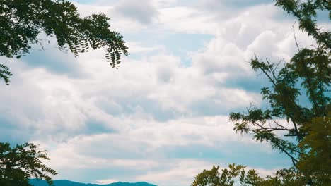 the sky along side houses and trees