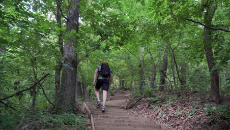 Excursionista-Masculino-Caminando-Por-La-Colina-En-El-Bosque-De-Verano,-Caminando-Por-Las-Escaleras-Por-El-Sendero