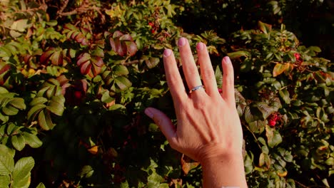 mujer joven disfruta de un nuevo anillo de bodas de oro blanco en su mano, primer plano