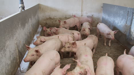 livestock farm