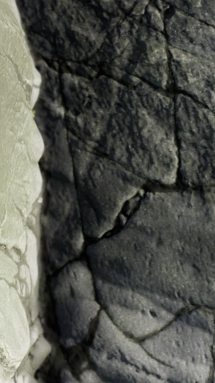 Rock surface shows texture and color differences in natural setting