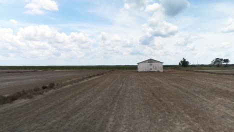 toma aérea de cultivos de caña de azúcar y campos de siembra