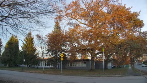 vibrant autumn trees on the corner street in the nearest town in east vancouver, bc canada