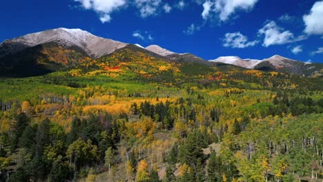 mount shavano tabeguache peak colligate swatch range salida buena vista aerial drone colorado fall autumn aspen trees color yellow orange morning sun blue sky san isabel national forest backwards pan