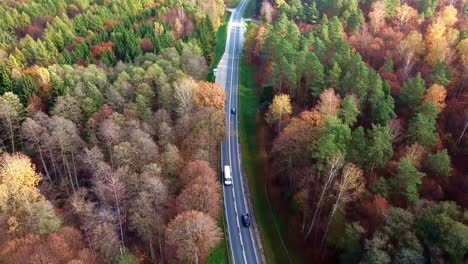 aerial overhead view of a cars driving on road in colorful autumn forest