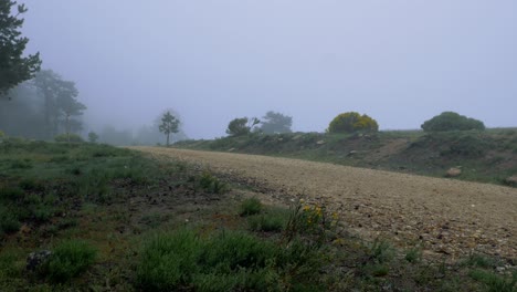 A-man-appears-and-coming-down-a-path-on-the-mountain-in-a-foggy-and-windy-day