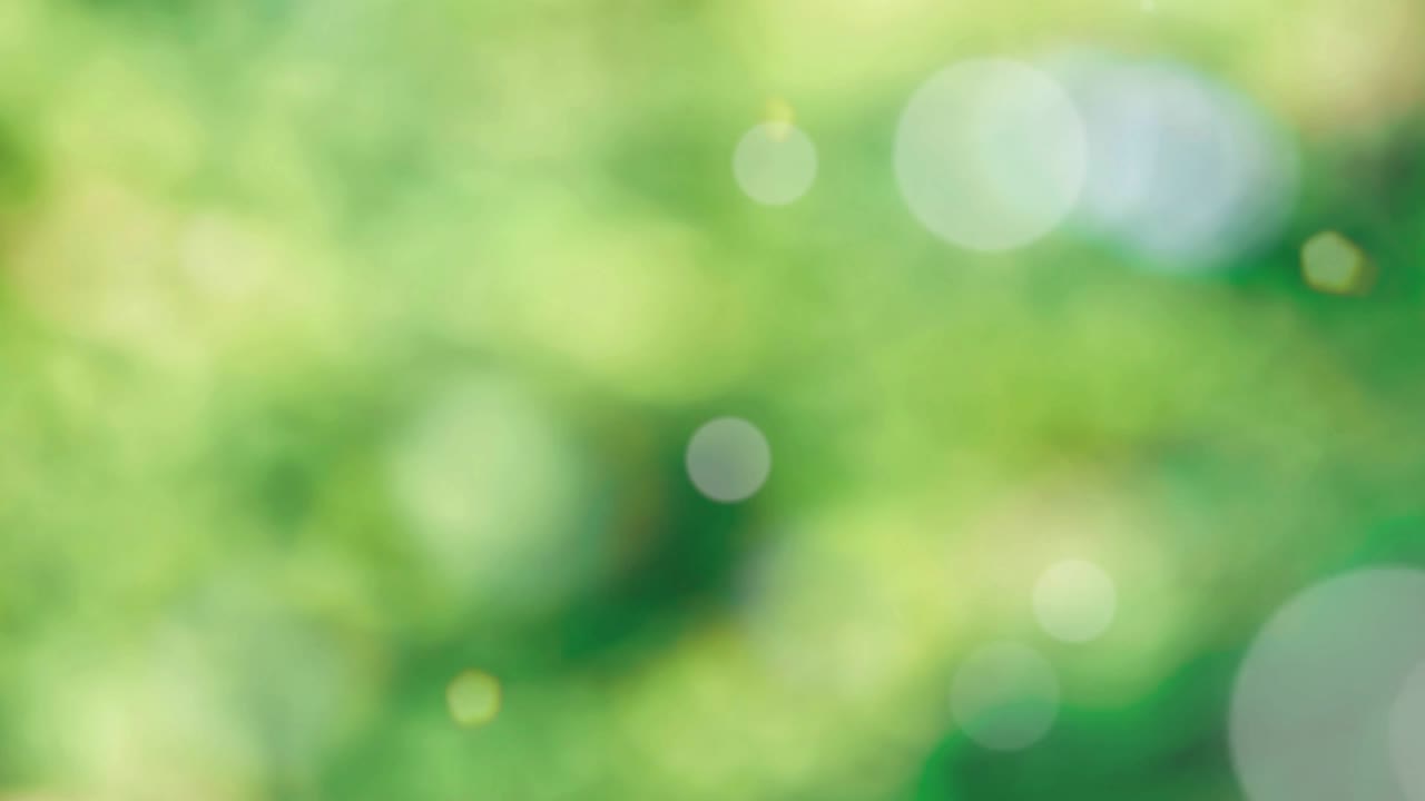 Abstract spring background with bokeh