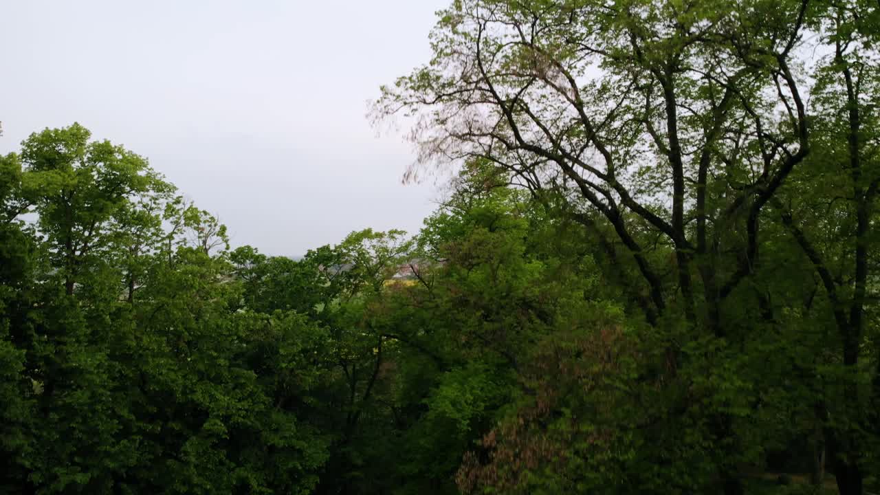 독일 바일바흐(bad weilbach)에서 도로, 마을, 다채로운 들판, 흐린 날을 드러내며 나무 위로 솟아오르는 공중 드론 전망