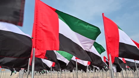 las banderas de los emiratos árabes unidos están en exhibición en el jardín de las banderas para celebrar el día de la bandera de los emiratos árabes unidos en dubai, eau