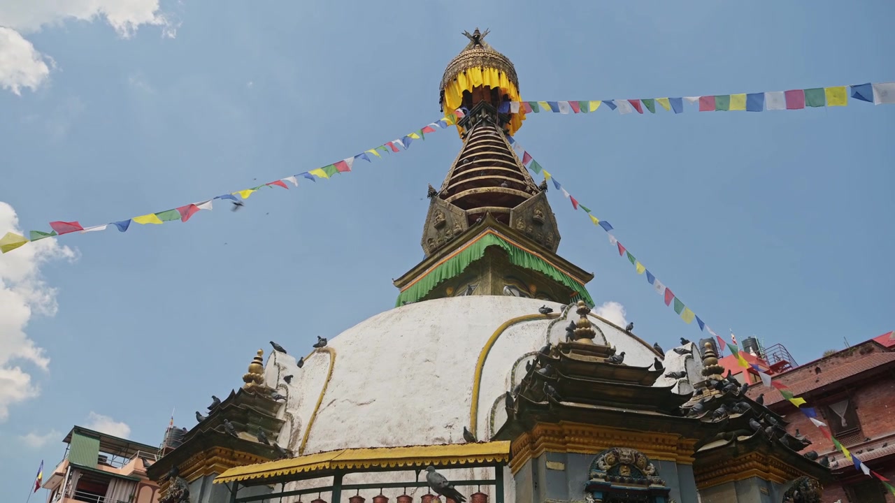 Linnut lentävät buddhalaisessa temppelissä Nepalissa, Kathmandussa, kyyhkyset lennossa kuuluisassa buddhalaisessa rakennuksessa Kathmandussa, vanhoja historiallisia rakennuksia Kathmandun keskustassa