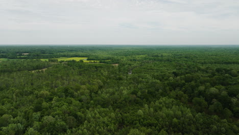 Amplia-Vista-Aérea-De-Los-Frondosos-Bosques-Del-Río-Wolf-En-Collierville,-Tennessee,-Bajo-Un-Cielo-Nublado.