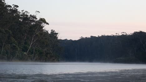 Hermosas-Escenas-De-Niebla-Matutina-Con-El-Arbusto-Australiano-En-El-Lago-Tyers-Victoria