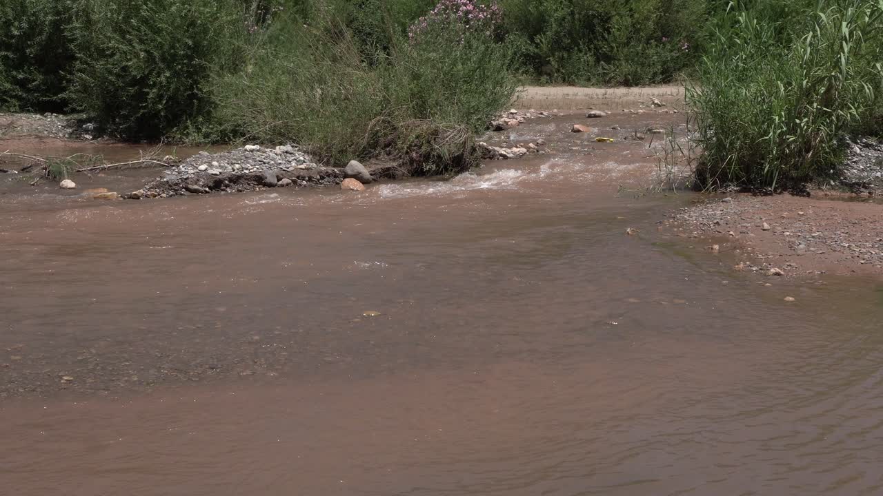 A small rapid flowing from the river that is not really too deep in a close-up view. A bit of vegetation on both sides of the river