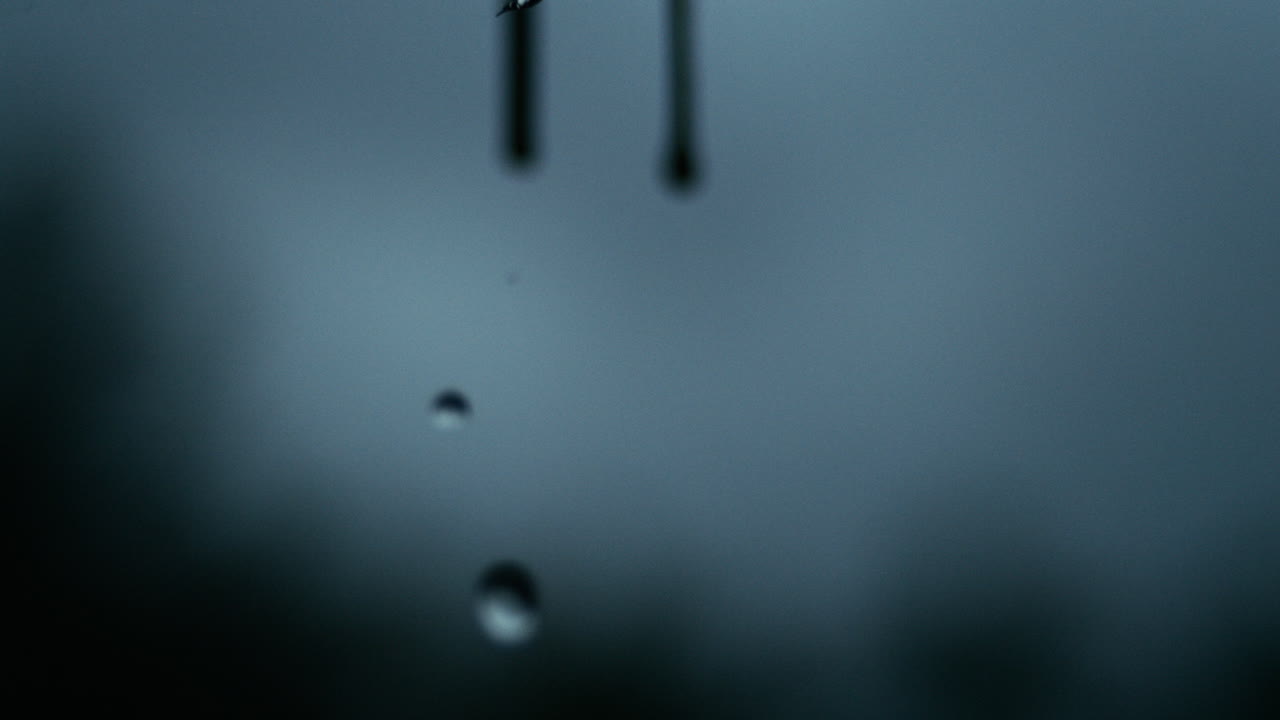 Slow falling water droplets detach from vegetation tips in dim ambient lighting, cloudy backdrop background