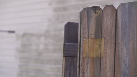 pressure washing vinyl siding behind privacy fence