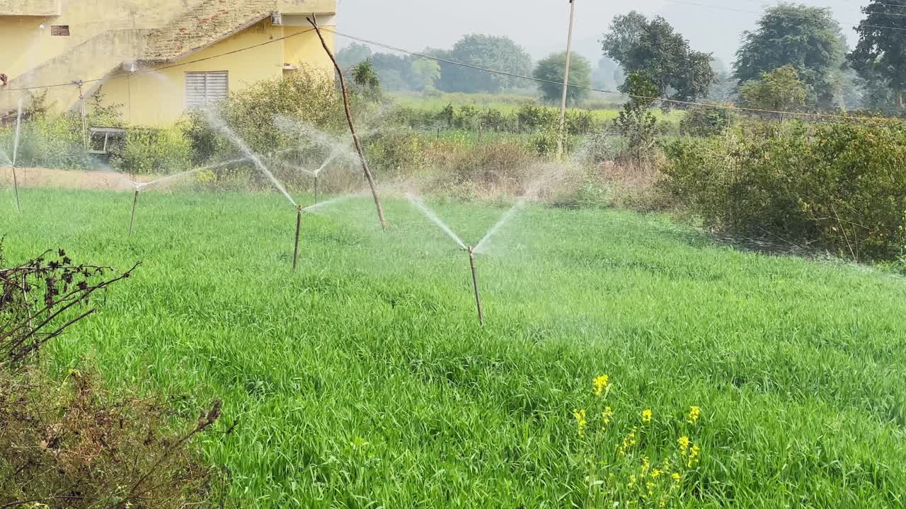 Vista statica di diversi irrigatori che lavorano contemporaneamente su un appezzamento agricolo verde, spruzzando acqua in modo uniforme sulle colture con vegetazione rurale e campi aperti circostanti.