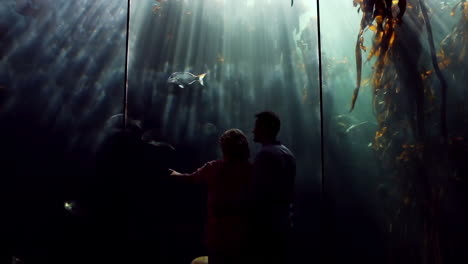 happy family looking at fish