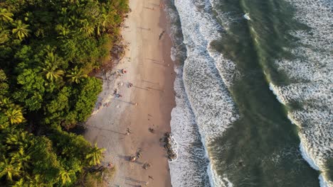 vista de pájaro de una playa con olas que rompen en costa rica