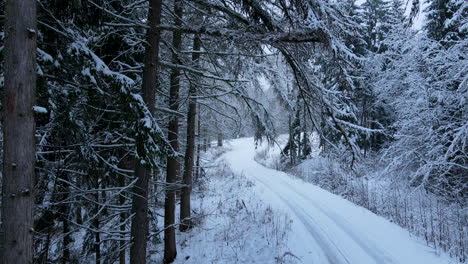 Aerial-low-angle-view-of-the-frozen-uncleaned-forest-road-in-Poland-village-Deby-Slow-back-movement