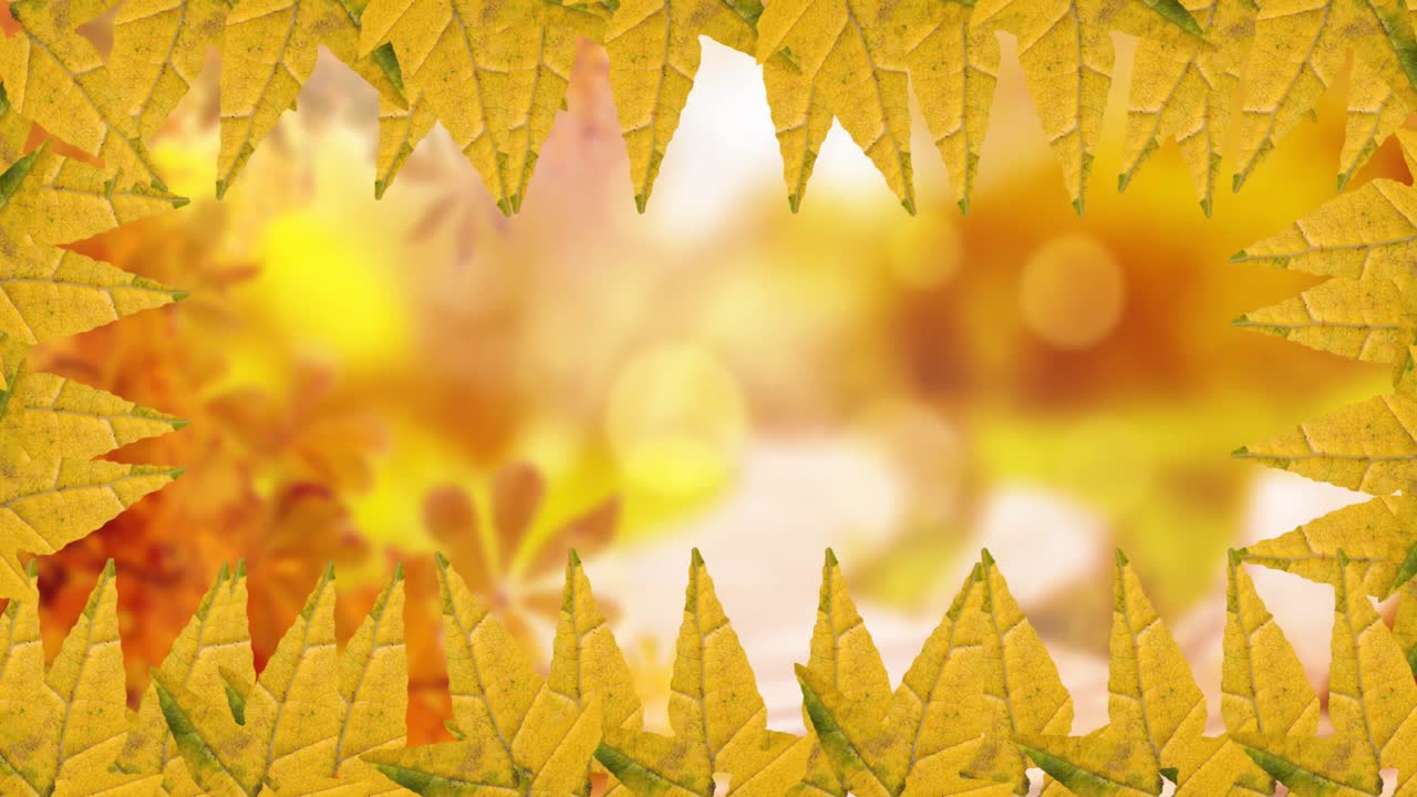 Animação de moldura de folhas de outono sobre fundo de floresta outonal