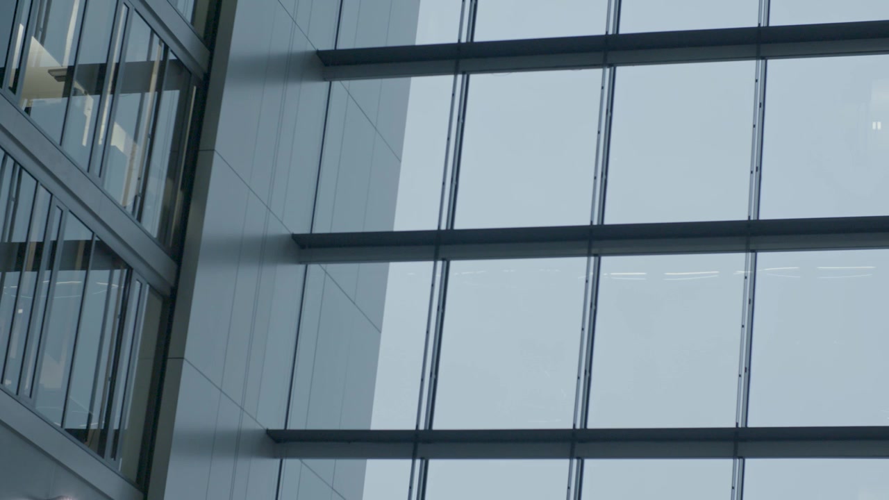 Grandi finestre di vetro e architettura moderna viste attraverso il fogliame interno alla luce del giorno.