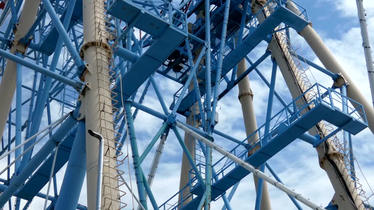 큰 페리스  의 근접적 인 모습