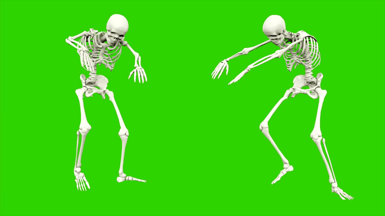 cammino dello scheletro. animazione a loop senza soluzione di continuità sullo schermo verde.