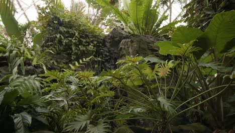 Tracking shot alongside indoor tropical plants with water feature.