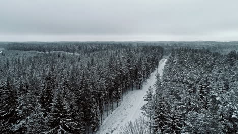 car drives on snow road through forested area