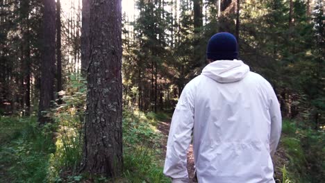 hombre caminando en un bosque