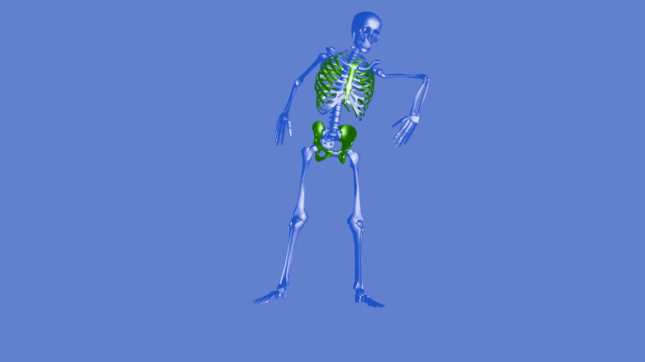 movimento della catena scheletrica - danza