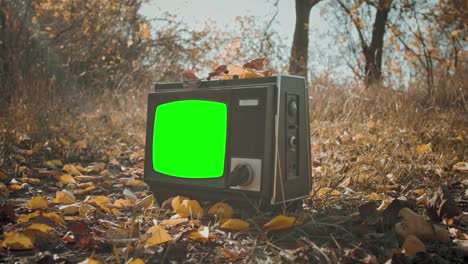 1980s 1990s television with green screen.