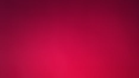 el vuelo de la granada en el fondo de fucsia en cámara lenta