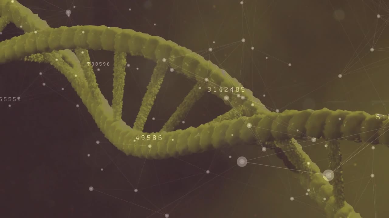 Elica del DNA che ruota, punti e nodi pulsanti guidati da una linea temporale, mentre le etichette dei dati si aggiornano per la scienza.