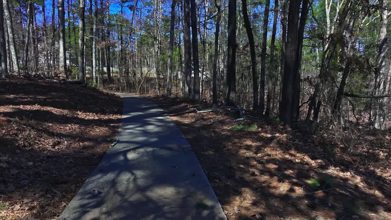 Concrete Path Through The Forest In Summer. - aerial shot