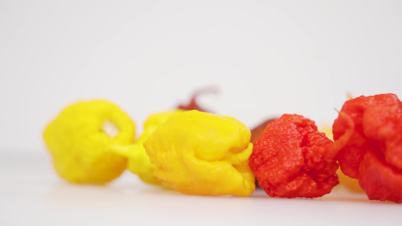 다양한 색상의 캐롤라이나 리퍼 칠리 페퍼의 부드러운 드러난