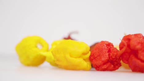 a smooth reveal shot of carolina reaper chili peppers in different colours